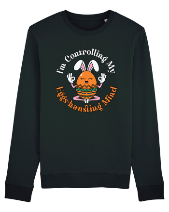 I'm Controlling My Eggs-hausting Mind Bluză mânecă lungă Unisex Rise