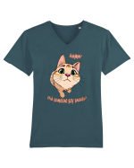 Did someone say snacks? Tricou mânecă scurtă guler V Bărbat Presenter