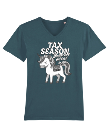 Tax season - unicornii contabili Stargazer