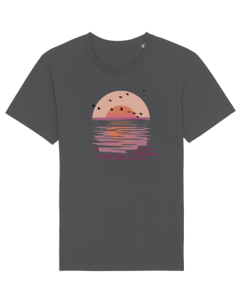 Flying Birds at Sunset Anthracite