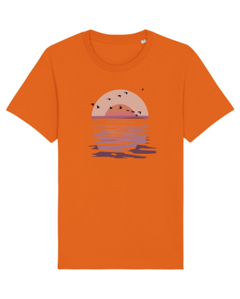 Flying Birds at Sunset Bright Orange