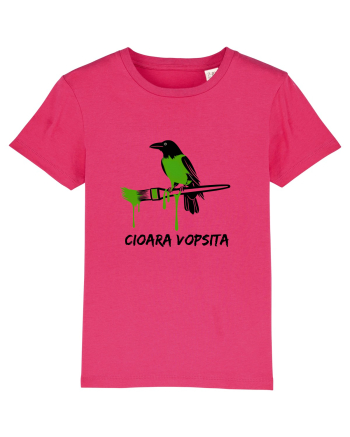 Cioara vopsita Raspberry