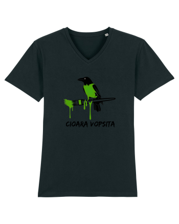 Cioara vopsita Black