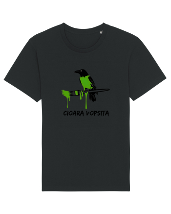 Cioara vopsita Black