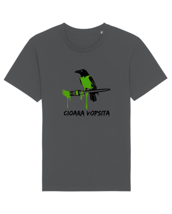 Cioara vopsita Anthracite