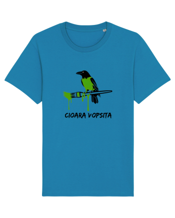Cioara vopsita Azur