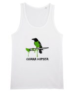 Cioara vopsita Maiou Bărbat Runs