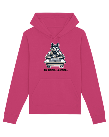  „Am liceul la feral” Raspberry