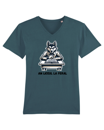  „Am liceul la feral” Stargazer