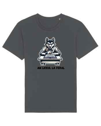  „Am liceul la feral” Anthracite