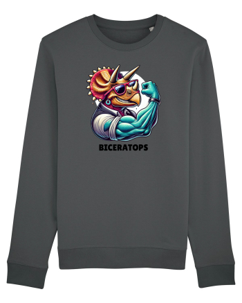 Biceratops Anthracite