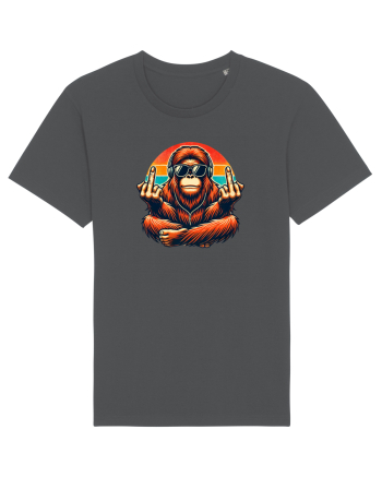 Chill chimp  Anthracite