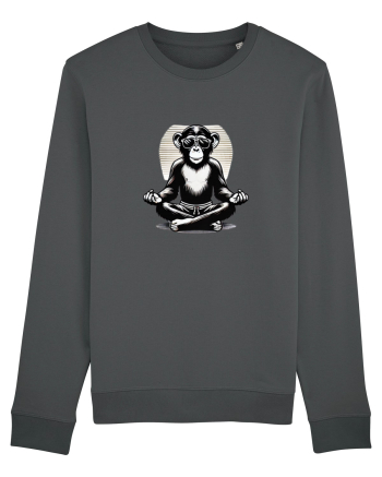 Chill chimp  Anthracite