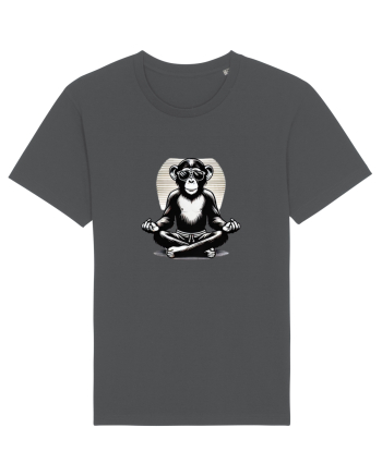 Chill chimp  Anthracite