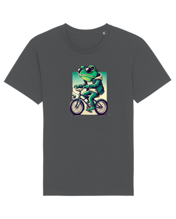 Riding frog Anthracite