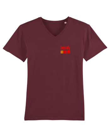 Basically, am dreptate 2 Burgundy