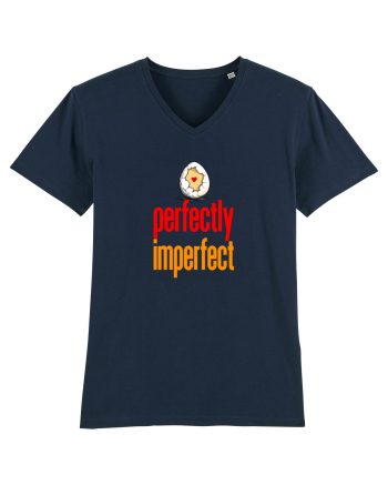 PERFECTLY IMPERFECT 3- PERFECT (A) ASA CUM SUNT  French Navy