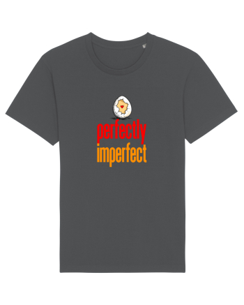 PERFECTLY IMPERFECT 3- PERFECT (A) ASA CUM SUNT  Anthracite