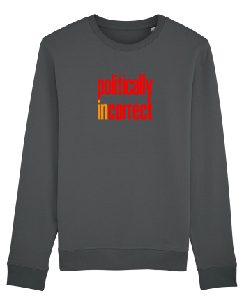 POLITICALLY  inCORRECT Anthracite