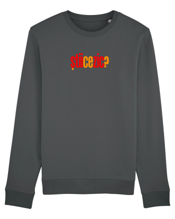STII CE ZIC? Anthracite