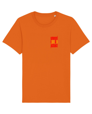 UNEORI E PACAT SA NU PACATUIESTI 2 Bright Orange