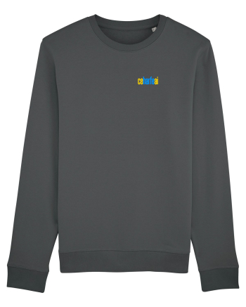CE HARFE AI! 2 Anthracite