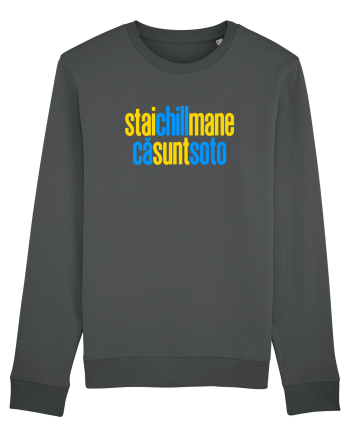 STAI CHILL, MANE, CA SUNT SOTO  Anthracite