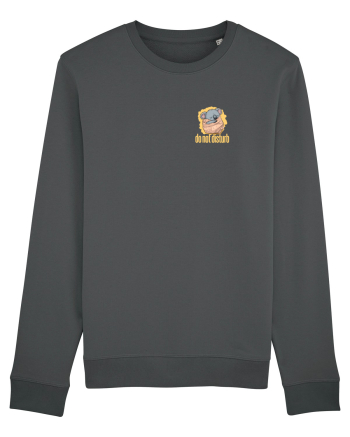 DO NOT DISTURB - Koala 2 Anthracite