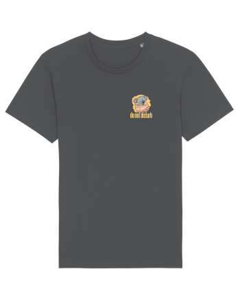 DO NOT DISTURB - Koala 2 Anthracite