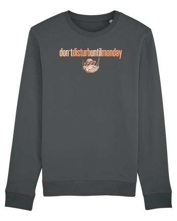 DON`T DISTURB UNTIL MONDAY - pisica in hamac Anthracite