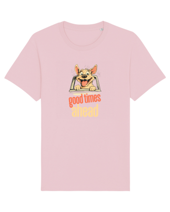 GOOD TIMES AHEAD - CAINE - SE ANUNTA DISTRACTIE Cotton Pink