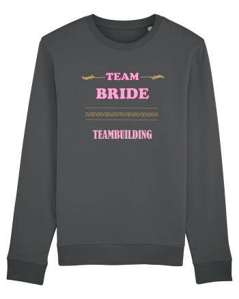 Team BRIDE (light) Anthracite