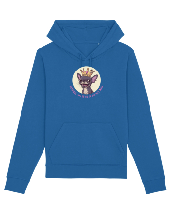 ESENTELE TARI SE TIN IN STICLUTE MICI - CHIHUAHUA 1 Royal Blue