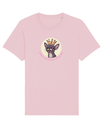ESENTELE TARI SE TIN IN STICLUTE MICI - CHIHUAHUA 1 Cotton Pink