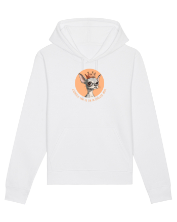ESENTELE TARI SE TIN IN STICLUTE MICI - CHIHUAHUA 2 White