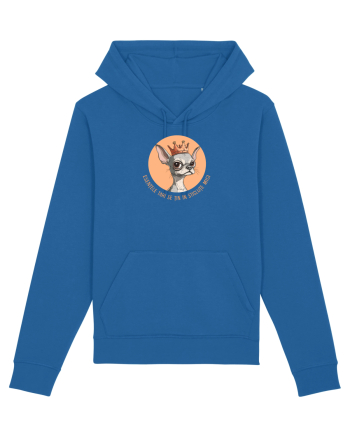 ESENTELE TARI SE TIN IN STICLUTE MICI - CHIHUAHUA 2 Royal Blue