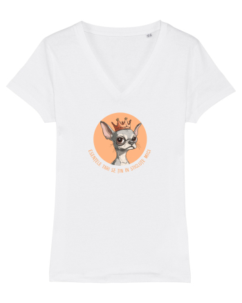 ESENTELE TARI SE TIN IN STICLUTE MICI - CHIHUAHUA 2 White