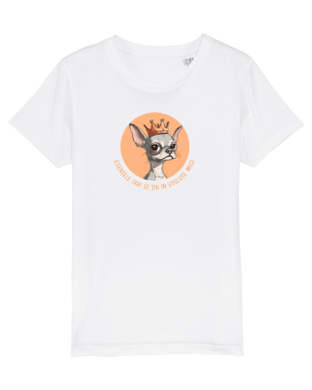 ESENTELE TARI SE TIN IN STICLUTE MICI - CHIHUAHUA 2 White