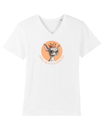 ESENTELE TARI SE TIN IN STICLUTE MICI - CHIHUAHUA 2 White