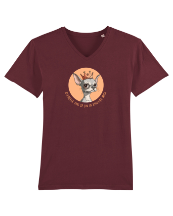 ESENTELE TARI SE TIN IN STICLUTE MICI - CHIHUAHUA 2 Burgundy
