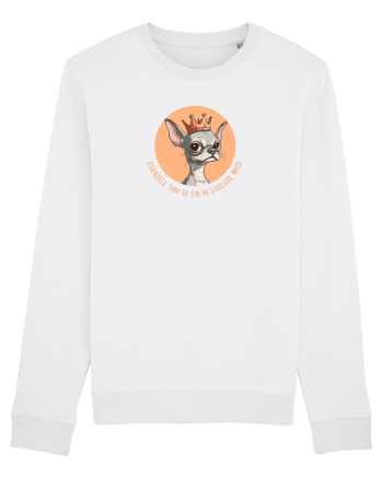 ESENTELE TARI SE TIN IN STICLUTE MICI - CHIHUAHUA 2 White