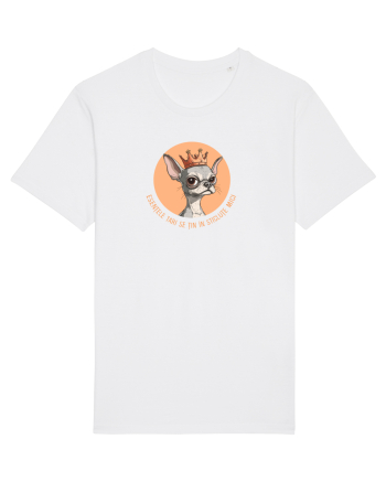 ESENTELE TARI SE TIN IN STICLUTE MICI - CHIHUAHUA 2 White