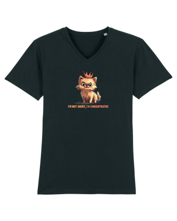 I`M NOT SHORT, I`M CONCENTRATED - POMERANIAN Black
