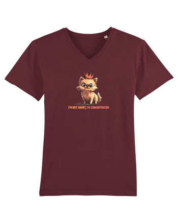 I`M NOT SHORT, I`M CONCENTRATED - POMERANIAN Burgundy