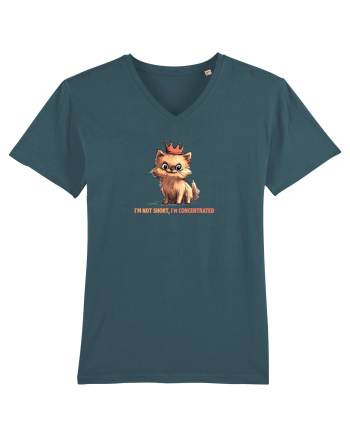 I`M NOT SHORT, I`M CONCENTRATED - POMERANIAN Stargazer