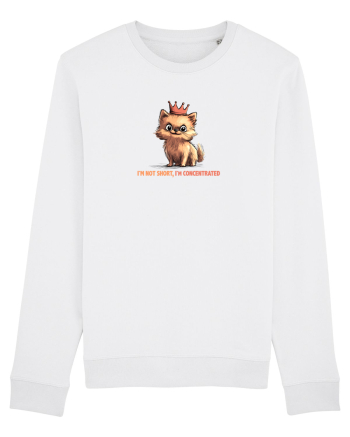 I`M NOT SHORT, I`M CONCENTRATED - POMERANIAN White