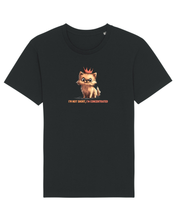 I`M NOT SHORT, I`M CONCENTRATED - POMERANIAN Black