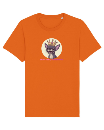 I`M NOT SHORT, I`M CONCENTRATED - CHIHUAHUA 2 Bright Orange