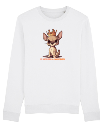 I`M NOT SHORT, I`M CONCENTRATED - CHIHUAHUA 3 White