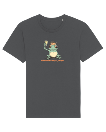 NU IMI TREBUIE O PRINTESA, CI TEQUILA - PRINT BROSCOI Anthracite